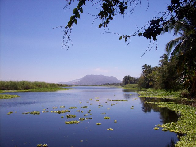Laguna del Tule